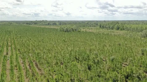 Us Hwy 441 N Lake City FL 32055