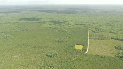 Us Hwy 441 N Lake City FL 32055