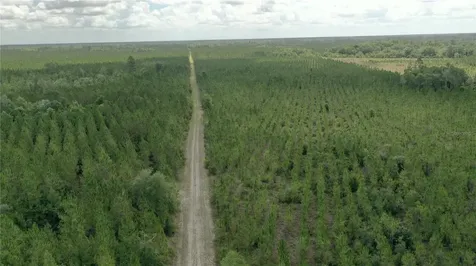 Us Hwy 441 N Lake City FL 32055