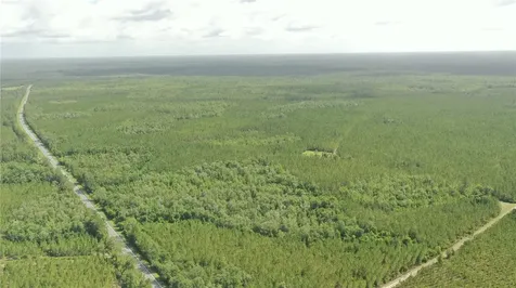 Us Hwy 441 N Lake City FL 32055