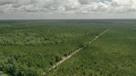 Us Hwy 441 N Lake City FL 32055
