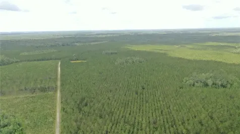 Us Hwy 441 N Lake City FL 32055