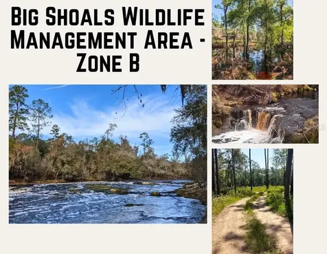 Us Hwy 441 N Lake City FL 32055