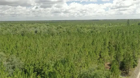 Us Hwy 441 N Lake City FL 32055