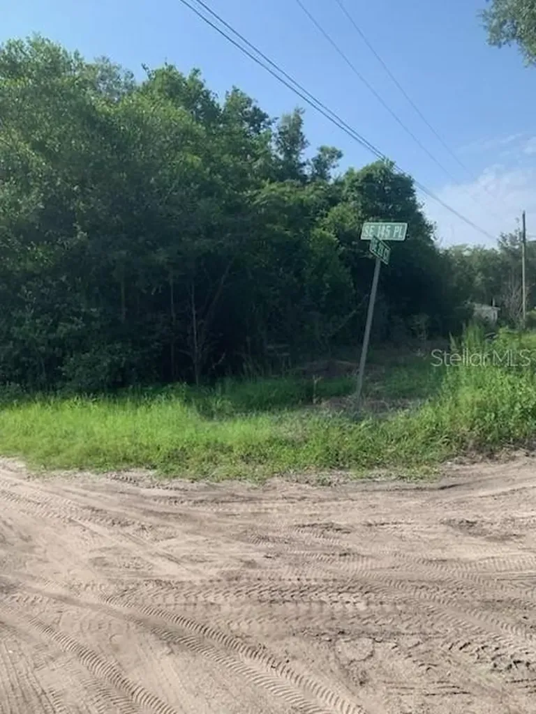 Tba SE 145th Place Summerfield FL 34491