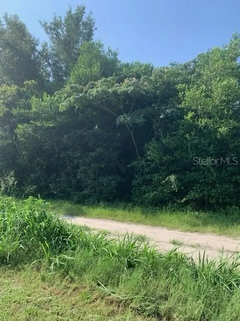 Tba SE 145th Place Summerfield FL 34491