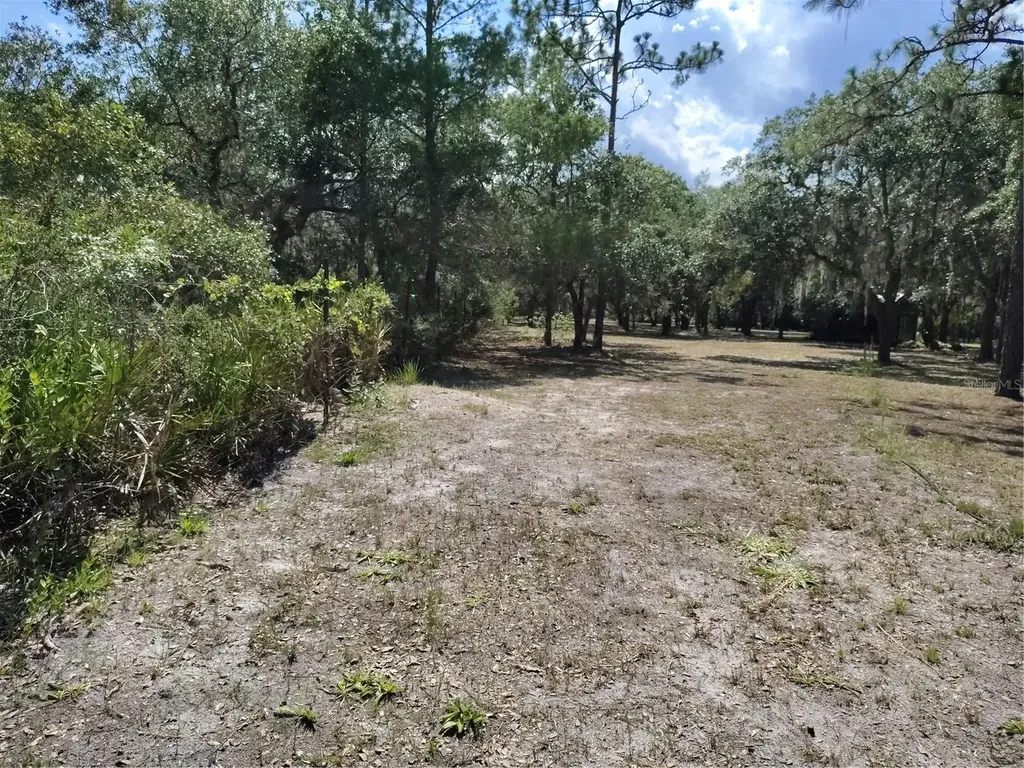 12627 Blackberry Lane Lake Wales FL 33898