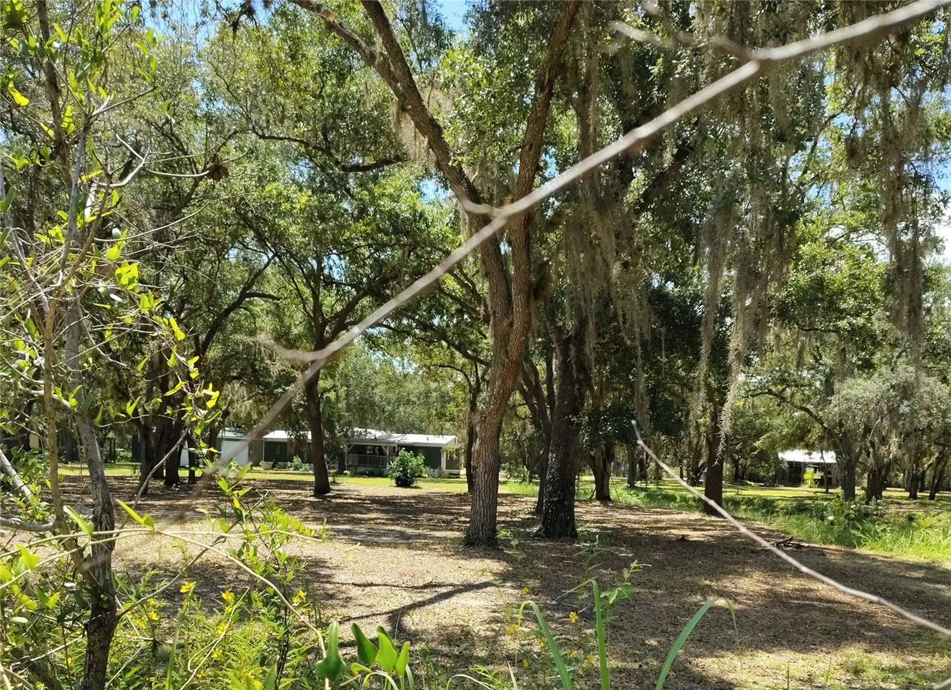 12627 Blackberry Lane Lake Wales FL 33898