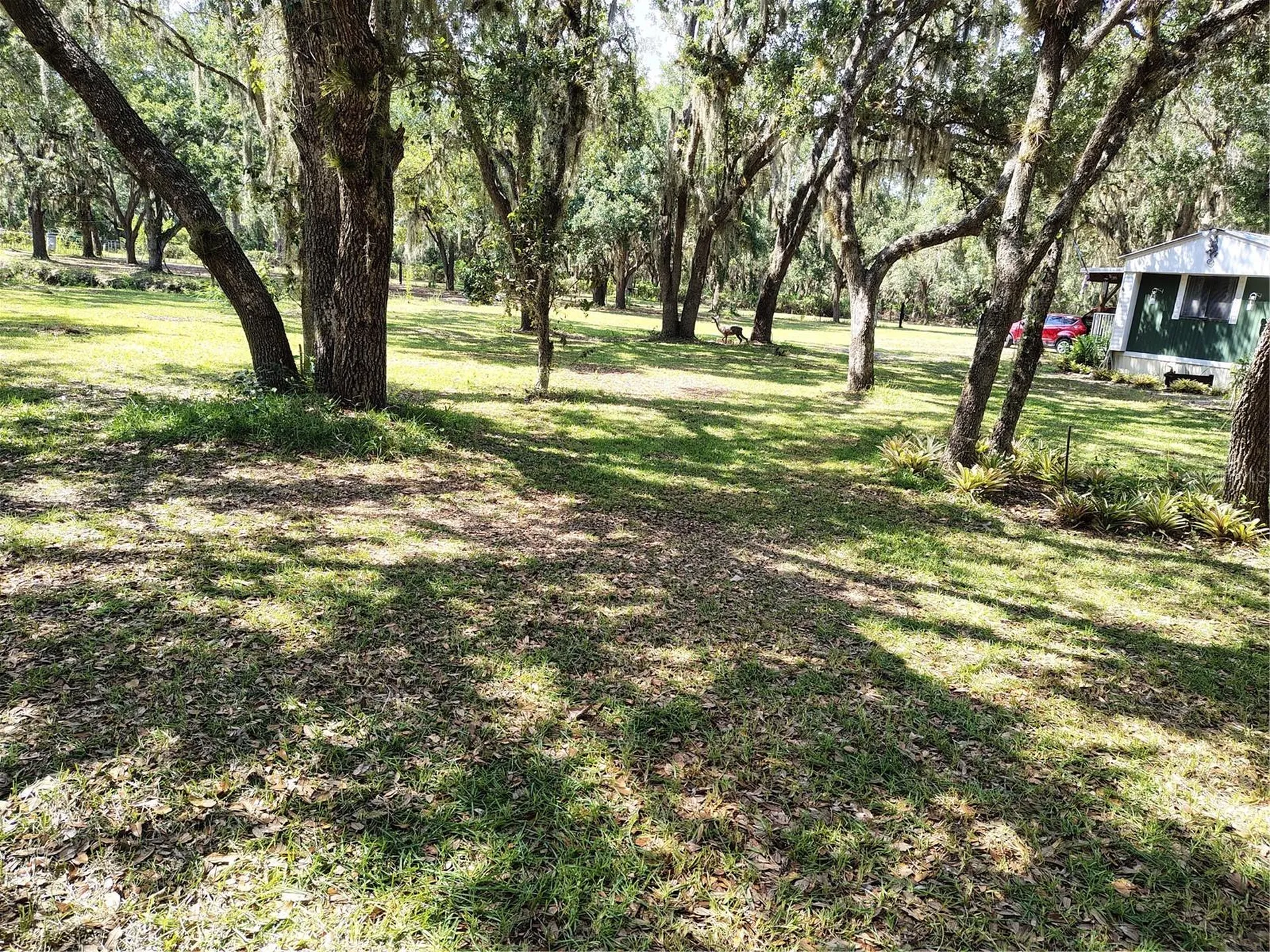 12627 Blackberry Lane Lake Wales FL 33898