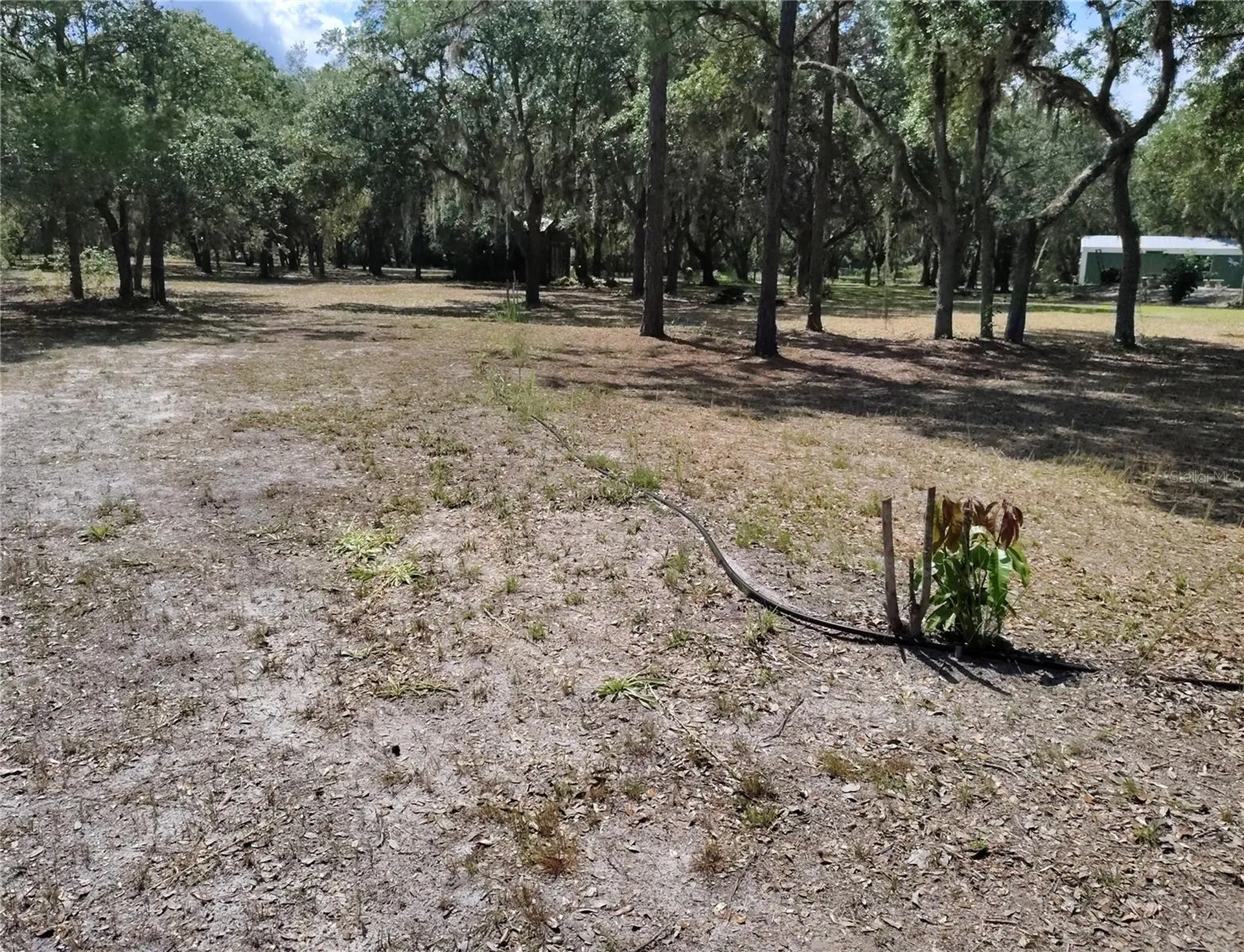 12627 Blackberry Lane Lake Wales FL 33898