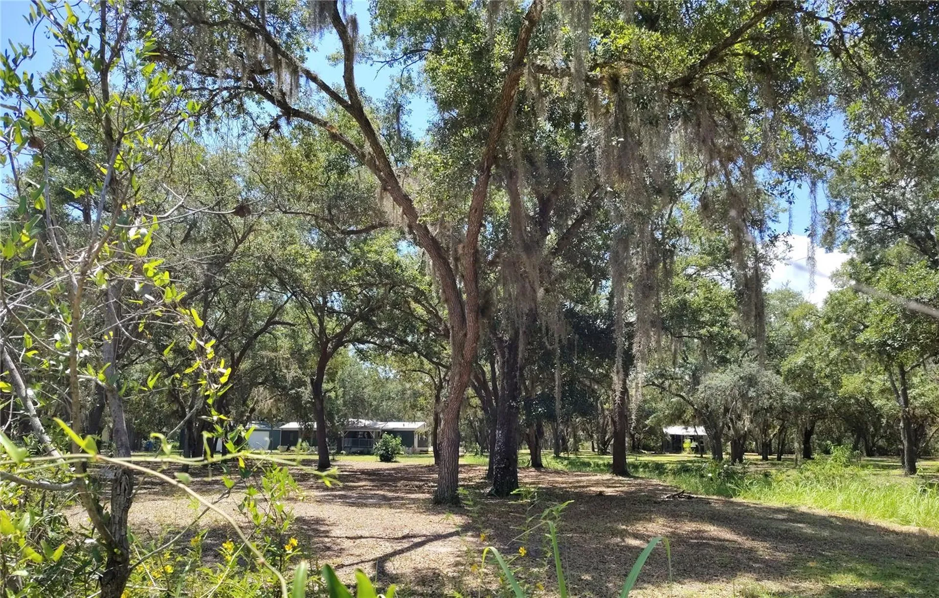 12627 Blackberry Lane Lake Wales FL 33898