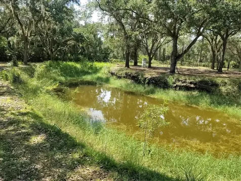12627 Blackberry Lane Lake Wales FL 33898