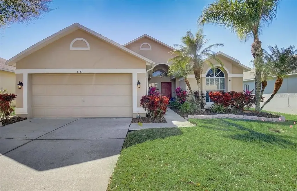 3137 Castle Rock Circle Land O Lakes FL 34639