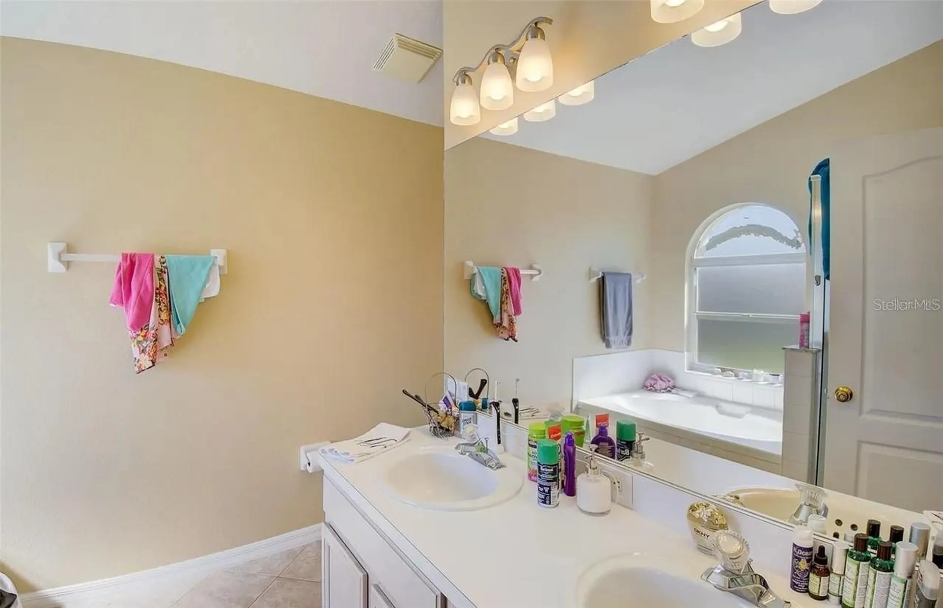 3137 Castle Rock Circle Land O Lakes FL 34639