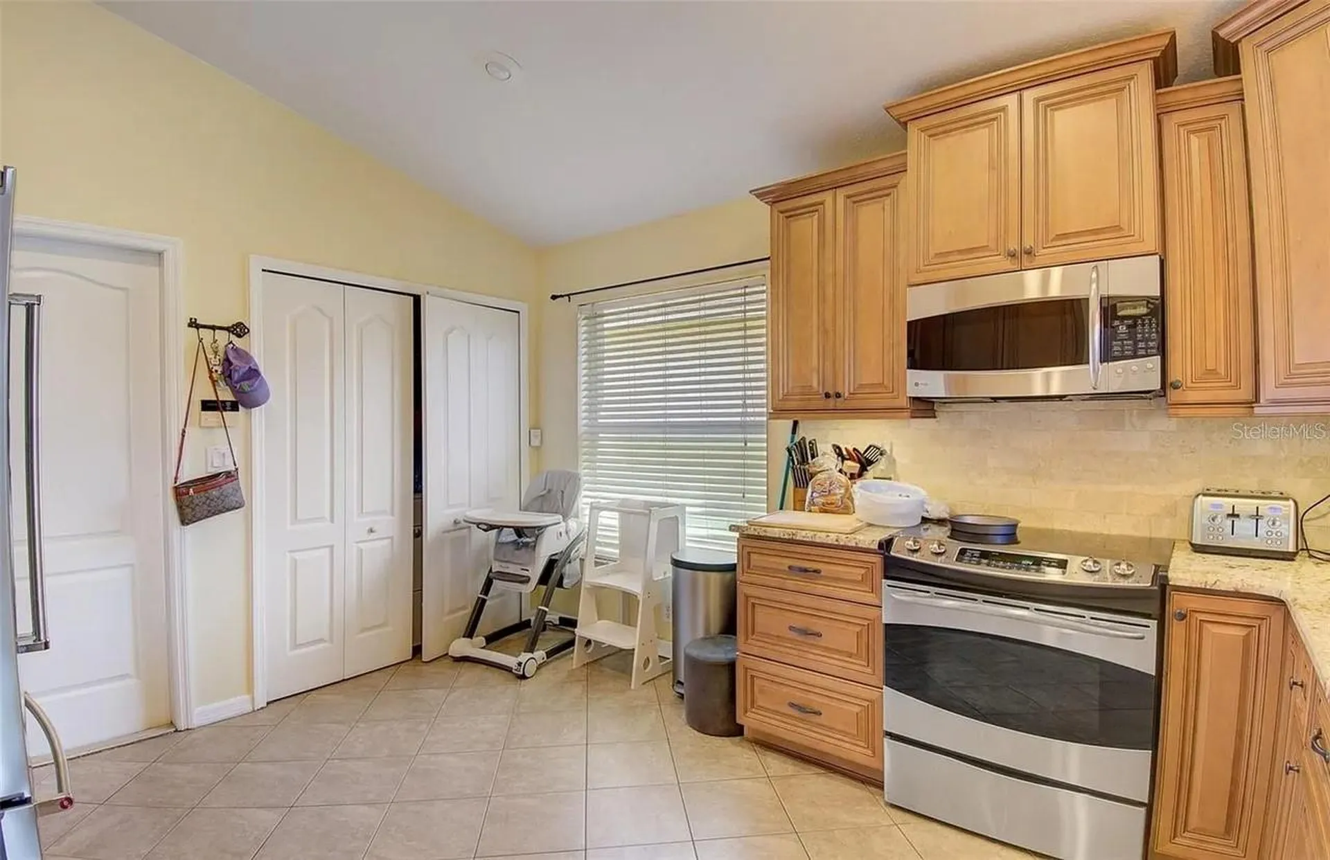 3137 Castle Rock Circle Land O Lakes FL 34639