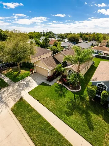 3137 Castle Rock Circle Land O Lakes FL 34639