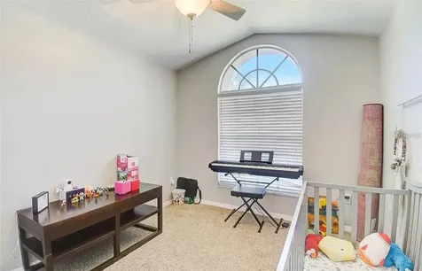 3137 Castle Rock Circle Land O Lakes FL 34639