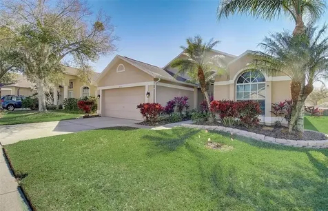 3137 Castle Rock Circle Land O Lakes FL 34639
