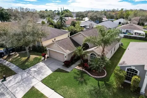 3137 Castle Rock Circle Land O Lakes FL 34639