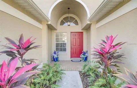 3137 Castle Rock Circle Land O Lakes FL 34639