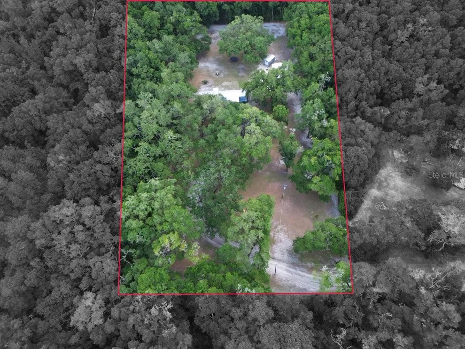 16221 SW 67th Place Archer FL 32618