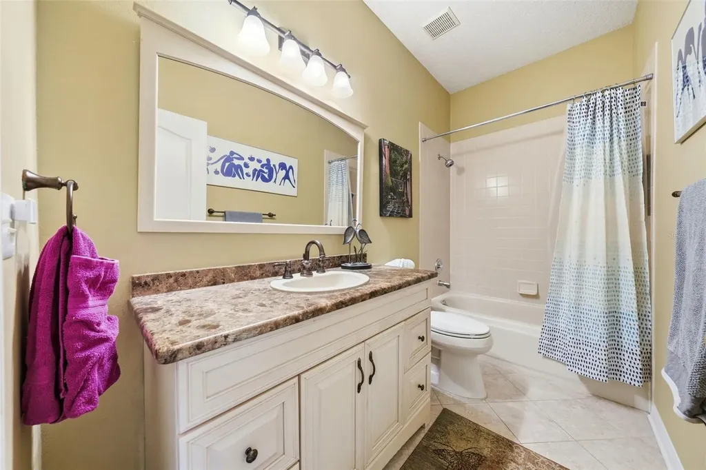 7029 Pine Hollow Drive Mount Dora FL 32757