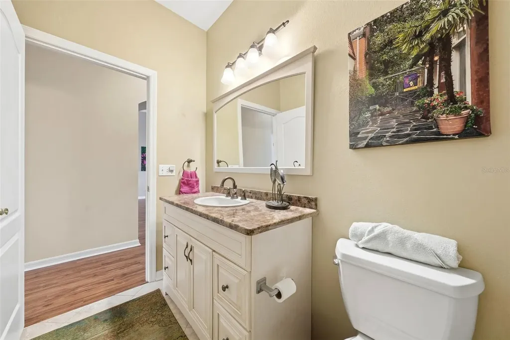 7029 Pine Hollow Drive Mount Dora FL 32757