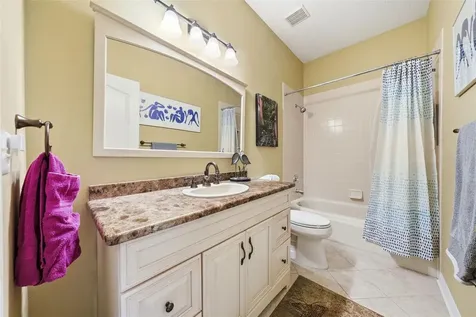 7029 Pine Hollow Drive Mount Dora FL 32757