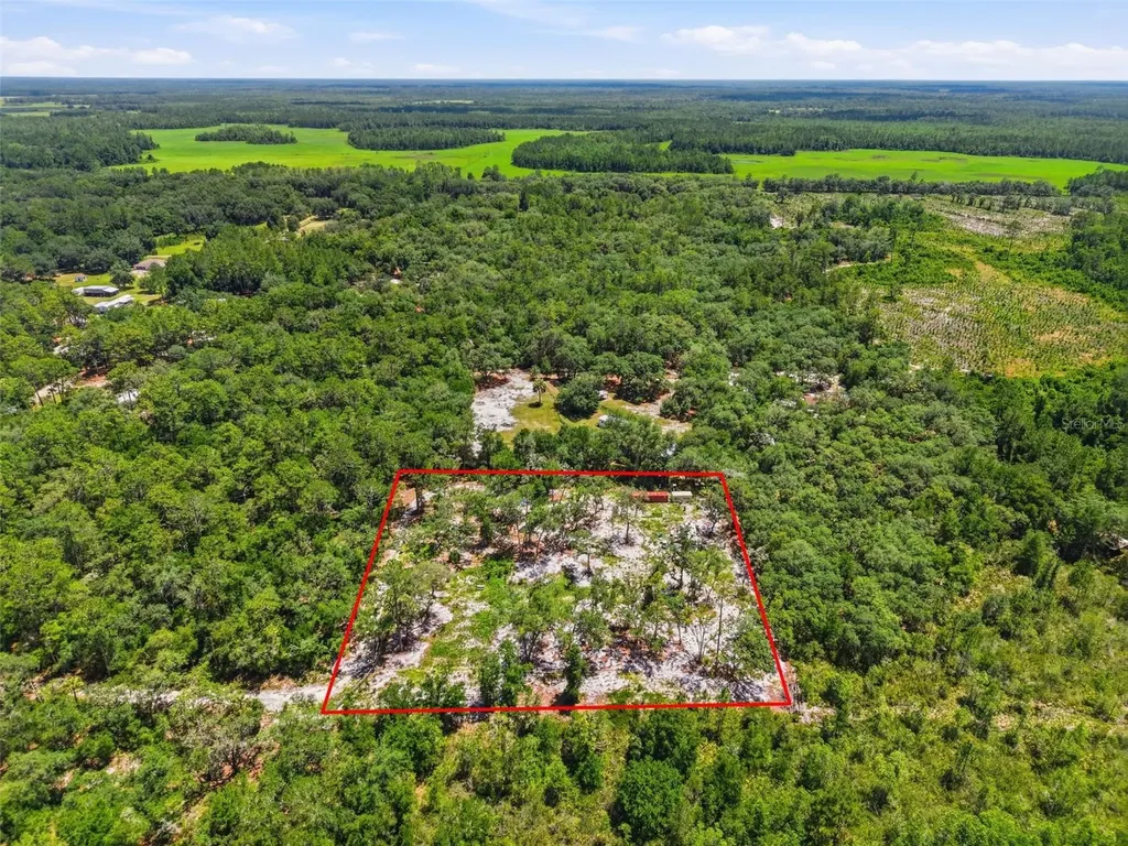 6900 NE 195th Street Citra FL 32113