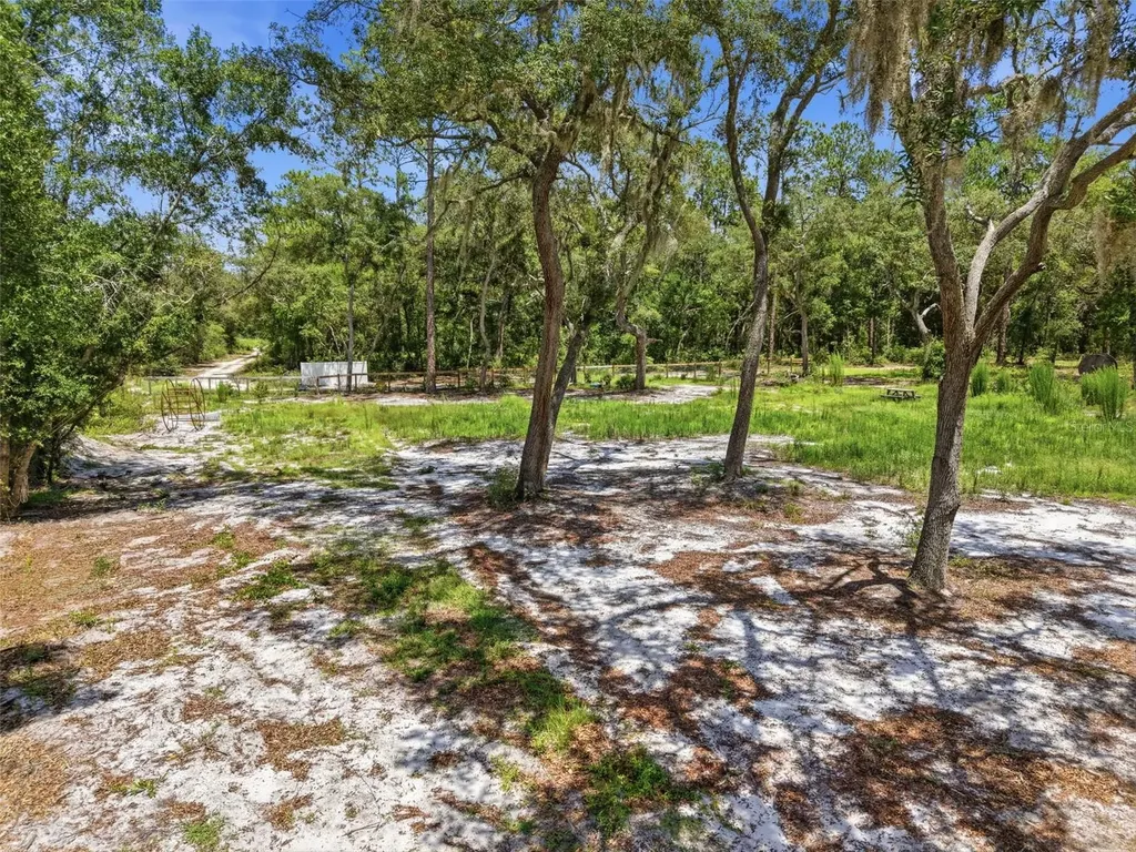 6900 NE 195th Street Citra FL 32113