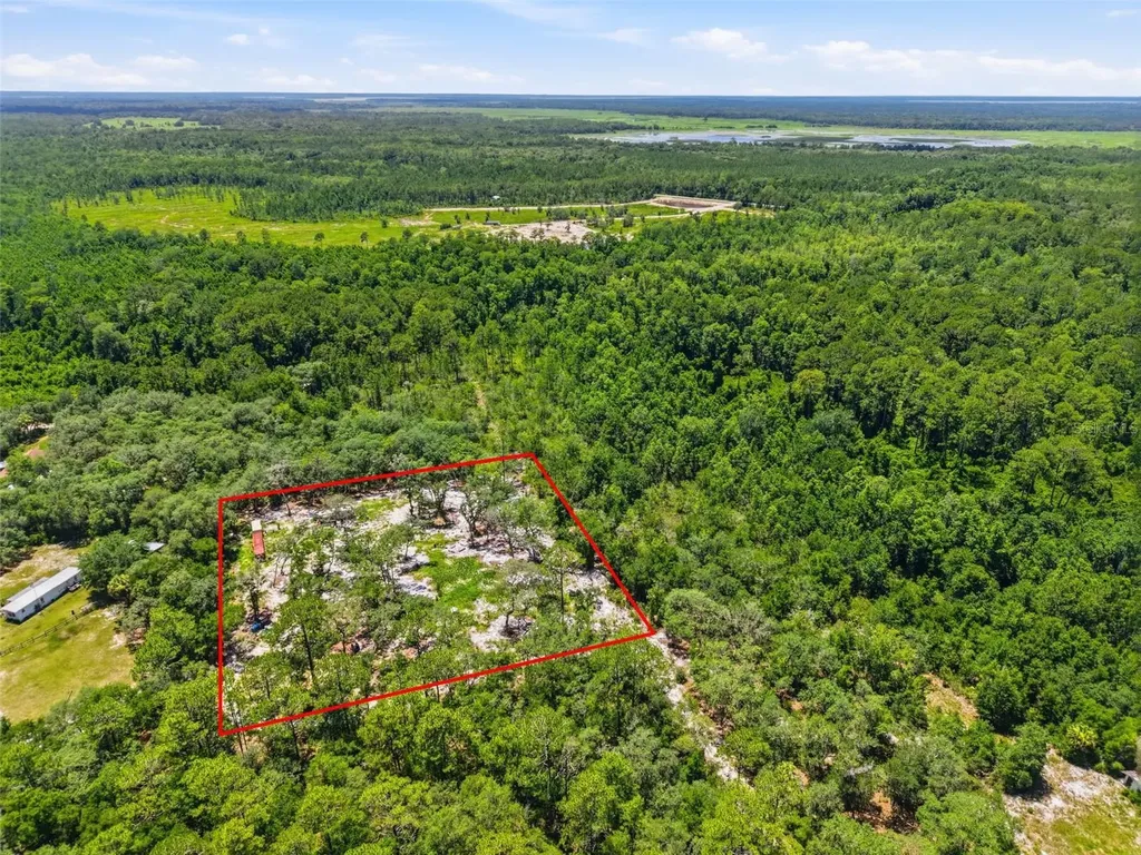 6900 NE 195th Street Citra FL 32113