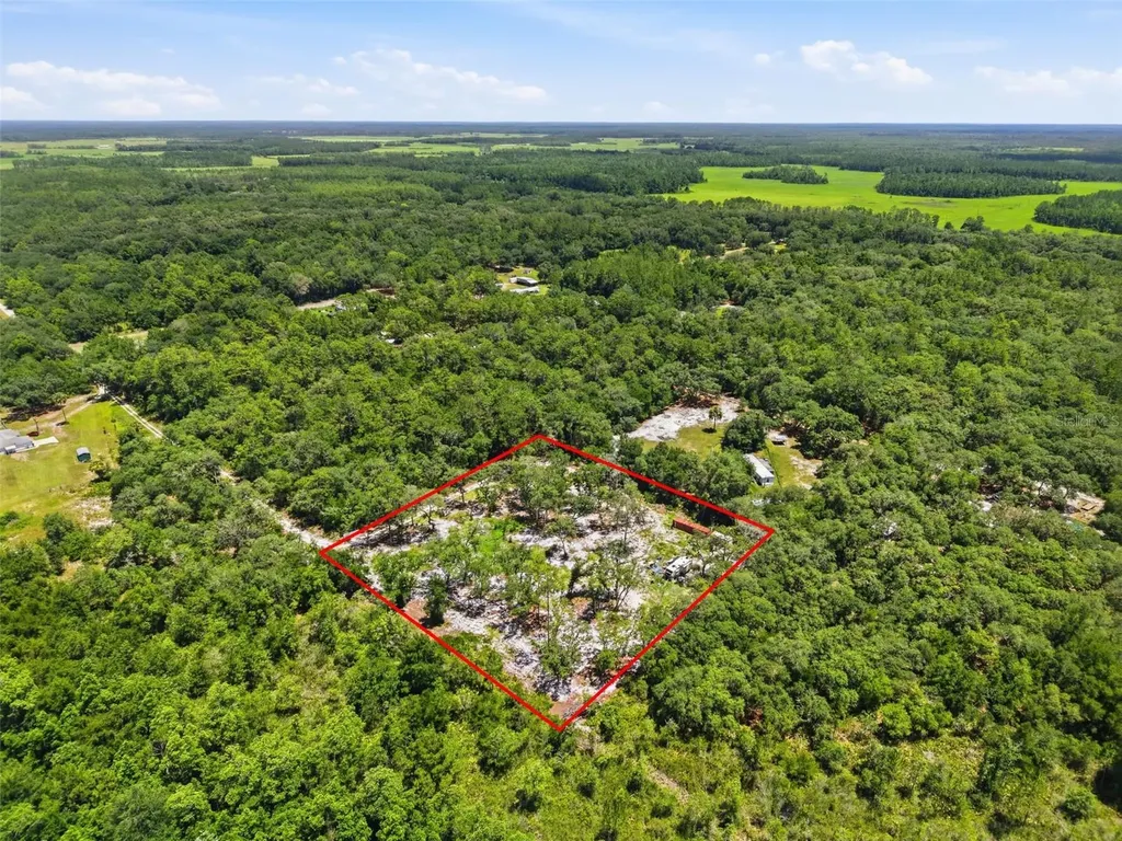 6900 NE 195th Street Citra FL 32113