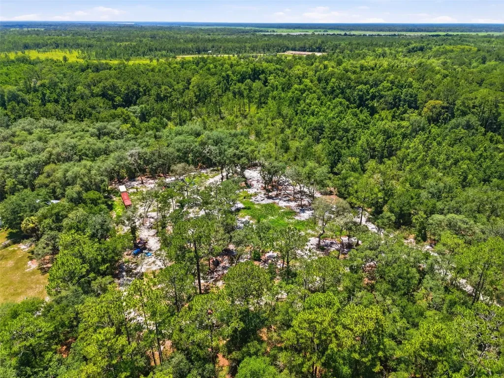 6900 NE 195th Street Citra FL 32113