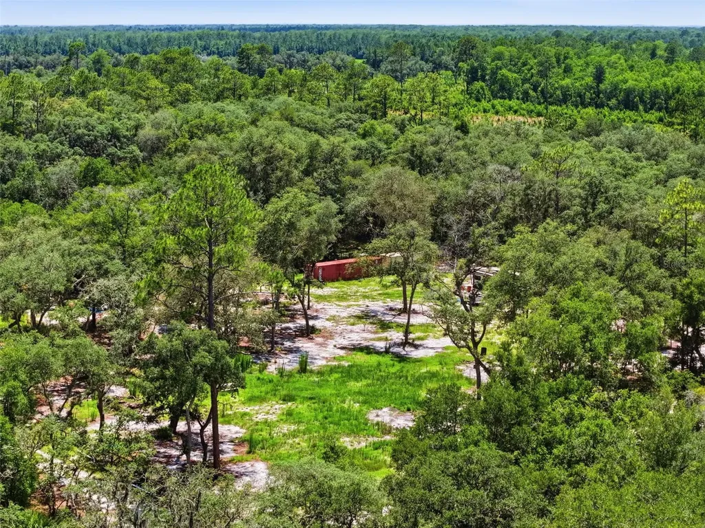 6900 NE 195th Street Citra FL 32113