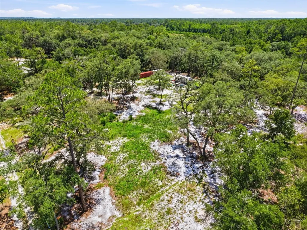 6900 NE 195th Street Citra FL 32113