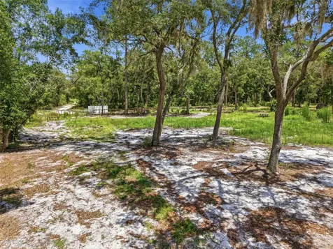 6900 NE 195th Street Citra FL 32113
