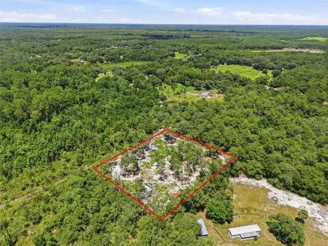 6900 NE 195th Street Citra FL 32113