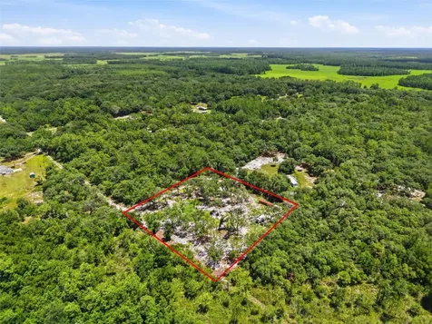 6900 NE 195th Street Citra FL 32113