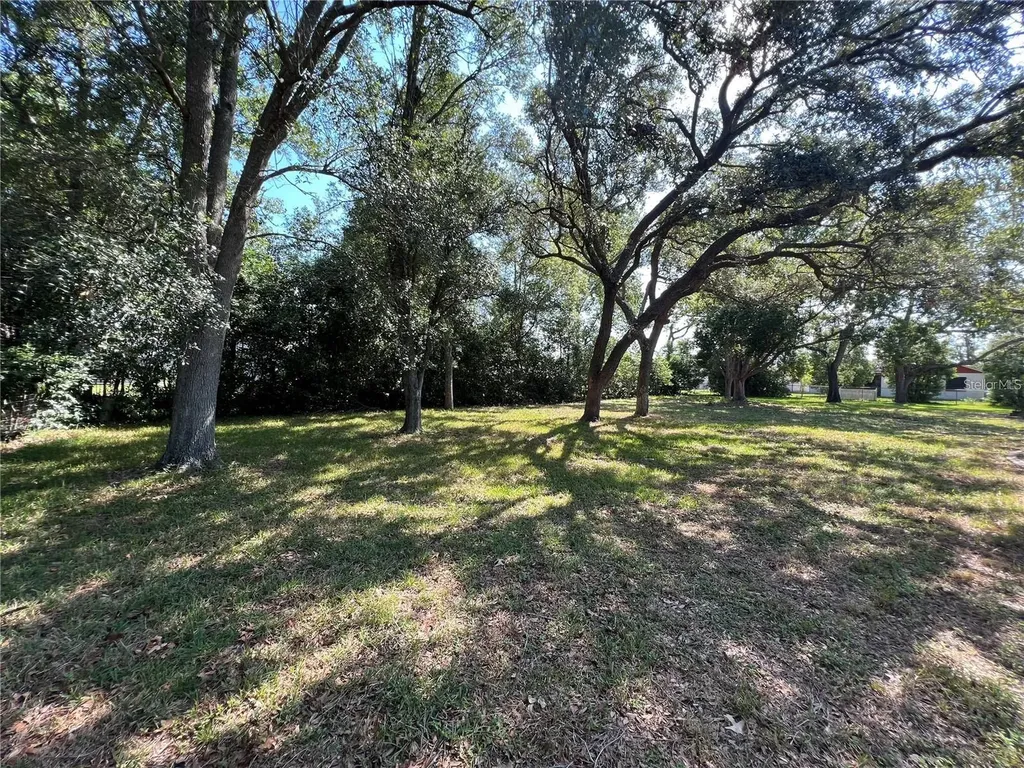 8205 Pagoda Drive Spring Hill FL 34606