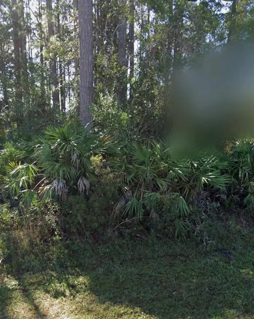 31 Red Clover Lane Palm Coast FL 32164