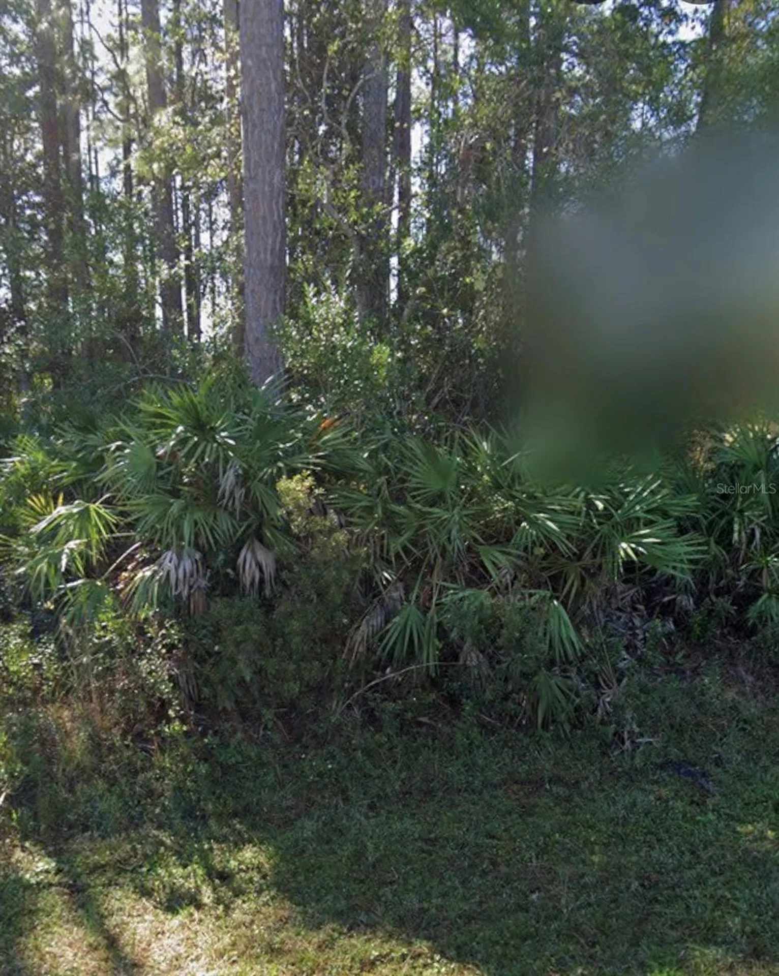 31 Red Clover Lane Palm Coast FL 32164