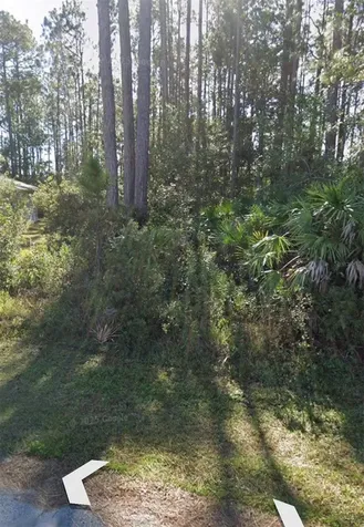 31 Red Clover Lane Palm Coast FL 32164