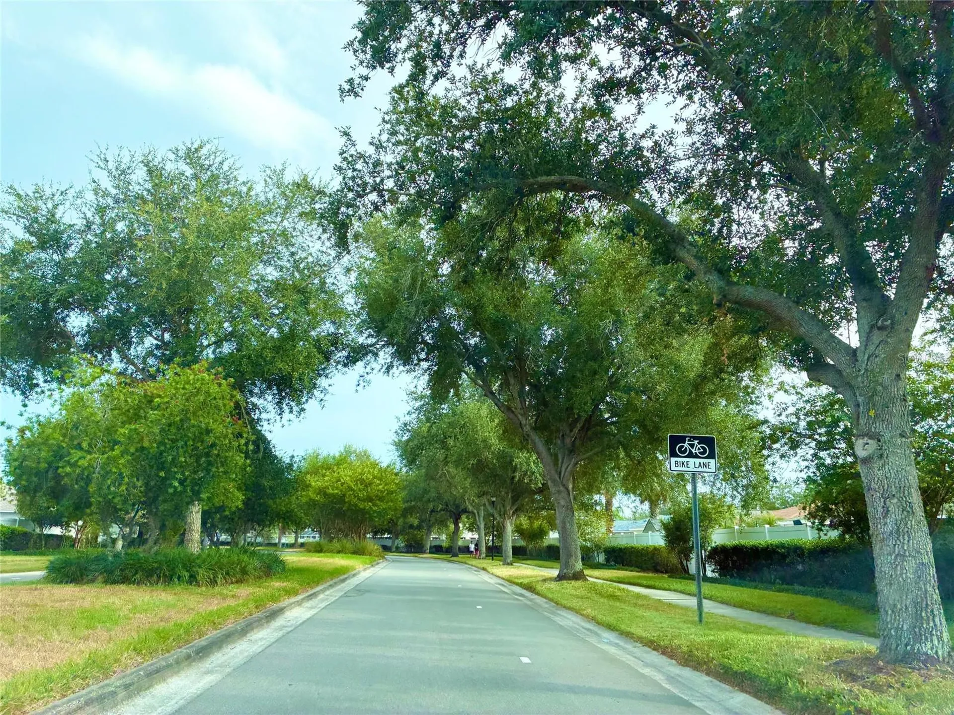 8026 Carriage Pointe Drive Gibsonton FL 33534