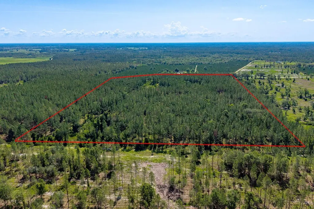 14590 NE 35th Avenue Chiefland FL 32626