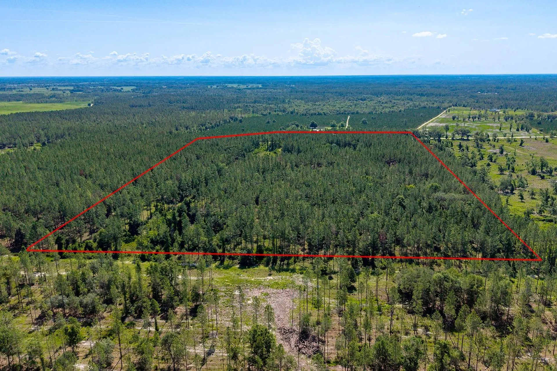 14590 NE 35th Avenue Chiefland FL 32626
