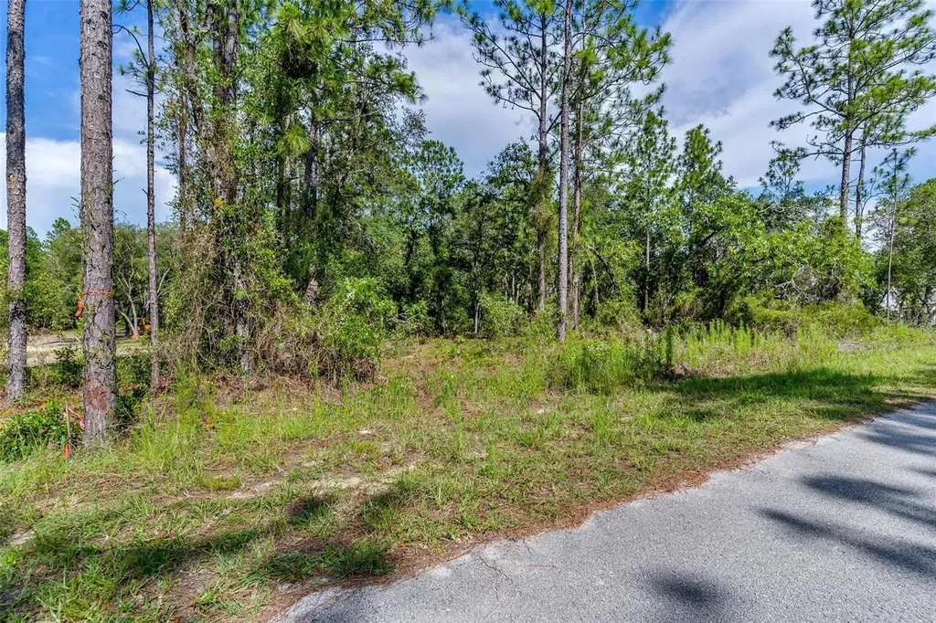 SW Viola Court Dunnellon FL 34431