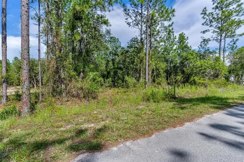 SW Viola Court Dunnellon FL 34431