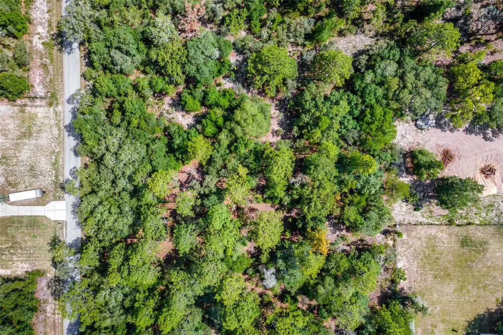 SW Shasta Court Dunnellon FL 34431