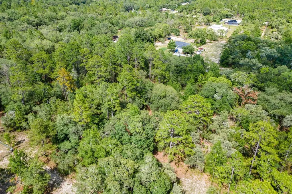 SW Shasta Court Dunnellon FL 34431