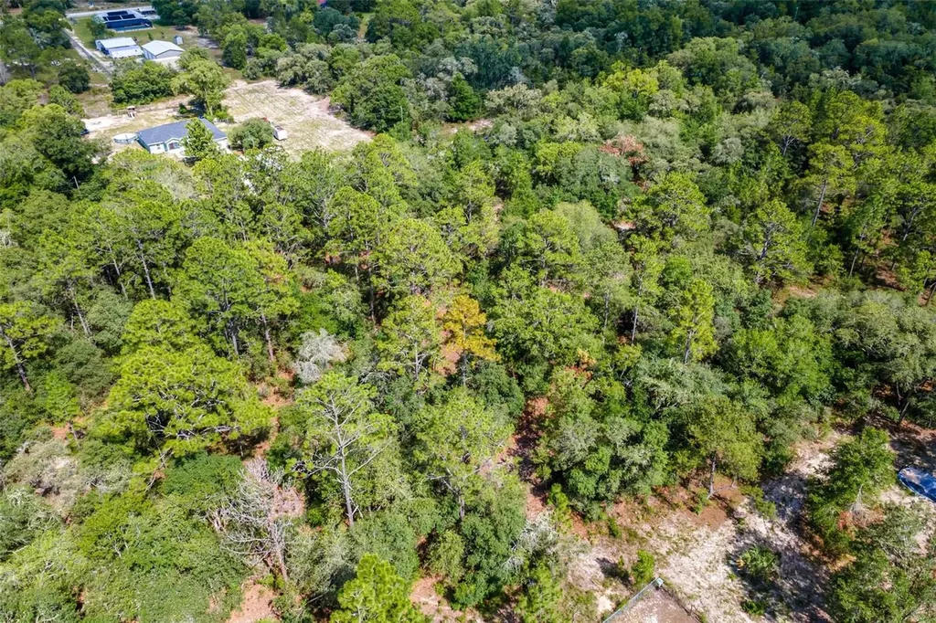 SW Shasta Court Dunnellon FL 34431